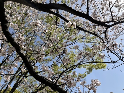 今の状態に満足できていないなら、新しい一歩を踏み出してみませんか？