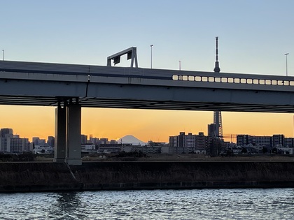 「もう年だから」って言葉、終わりにしませんか？