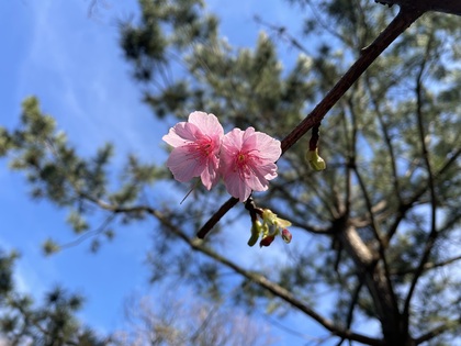 施術を受けても健康にはなれないんだよ