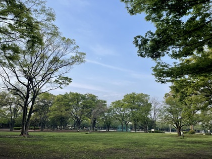 あなたが今行なっているセルフケアは、あなたを本当に健康に導いてくれていますか？