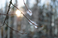 「年だからって、諦めるのはもったいないですね」足を引きずっていた彼女の今