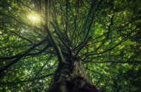 30分座っているのもツラかった腰が、１か月で変わった理由